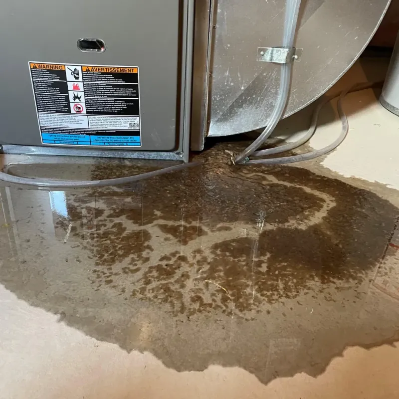 Appliance Leak Cleanup in Yerington, NV